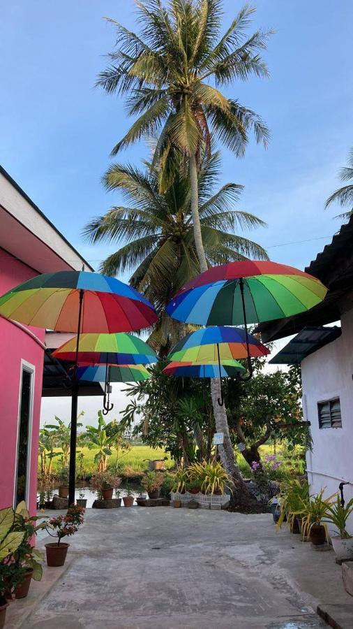 קאנגר Pink Homestay D'Perlis מראה חיצוני תמונה