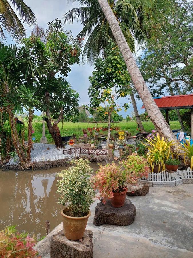 קאנגר Pink Homestay D'Perlis מראה חיצוני תמונה